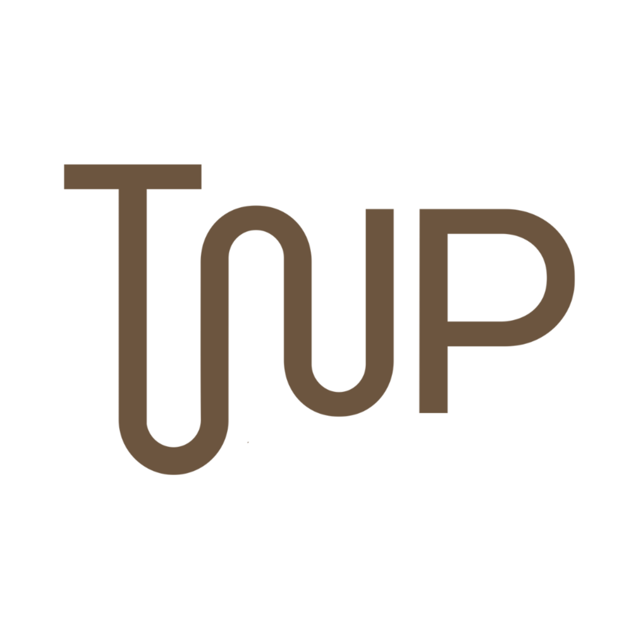 Logo TNP